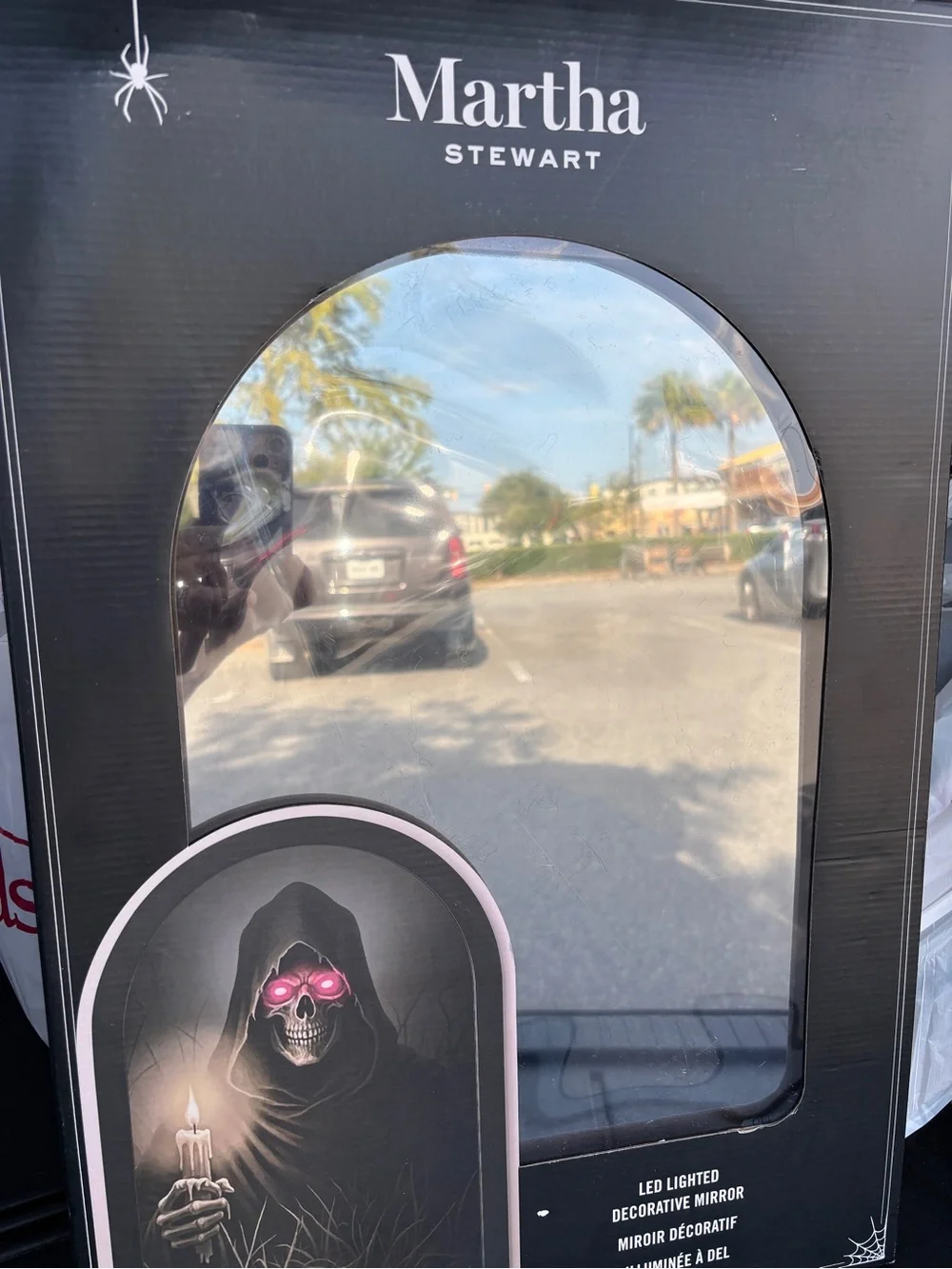 Martha Stewart Black Gothic Skull LED Mirror with Pink Eye Accents